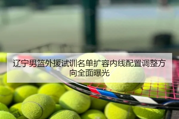 辽宁男篮外援试训名单扩容内线配置调整方向全面曝光
