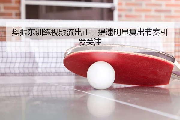 樊振东训练视频流出正手提速明显复出节奏引发关注